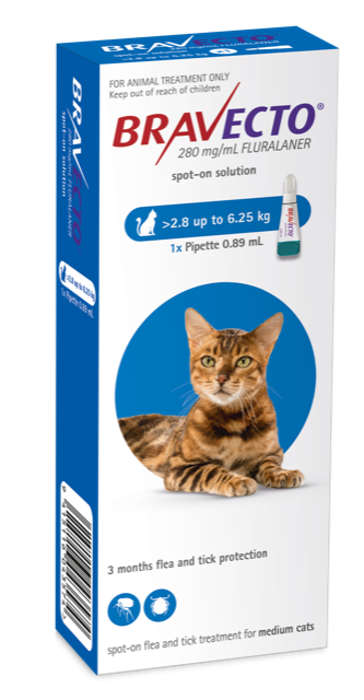 Bravecto Spot On Flea Treatment For Cats 2.8-6.25kg - Cat Flea