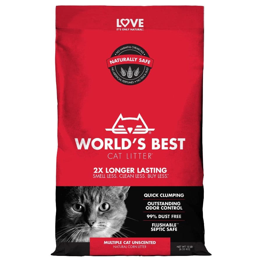 Best cat food in the outlet world