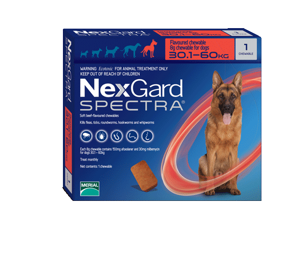 Flea tick best sale and worm