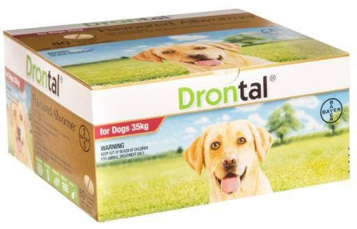 what does drontal treat in dogs