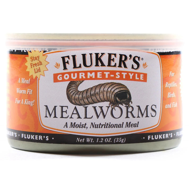 Fluker's Gourmet Mealworms, Mealworms for reptiles, Food for birds, Bugs for pets, Pet Essentials Warehouse