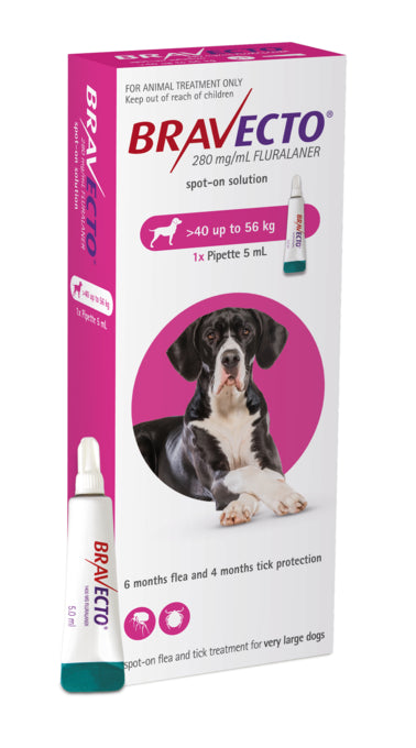 Bravecto Dog Spot On Flea & Tick 40-56kg, Large dog flea treatment, Pet Essentials Warehouse