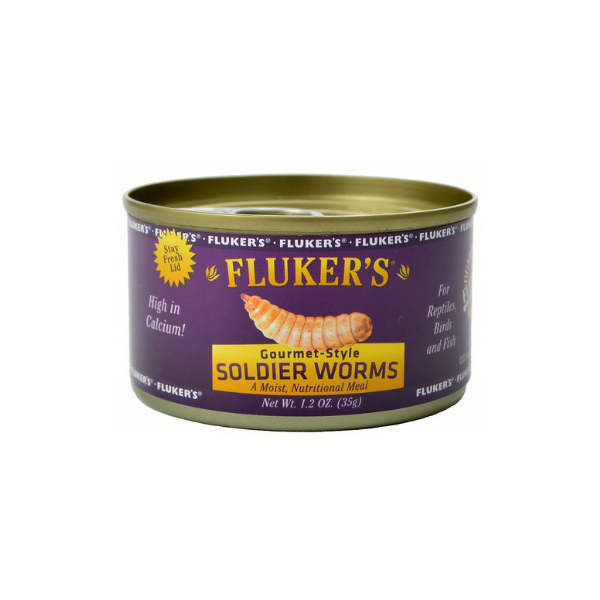 Flukers Gourmet Style Soldier Worms, Soldier worms for reptiles, Flukers reptile treats, Pet Essentials Warehouse