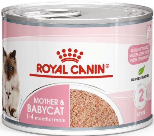 Royal Canin Mother and Baby Mousse, Baby Kitten food, Mother and Baby food, Royal Canin Wet food, Pet Essentials Warehouse