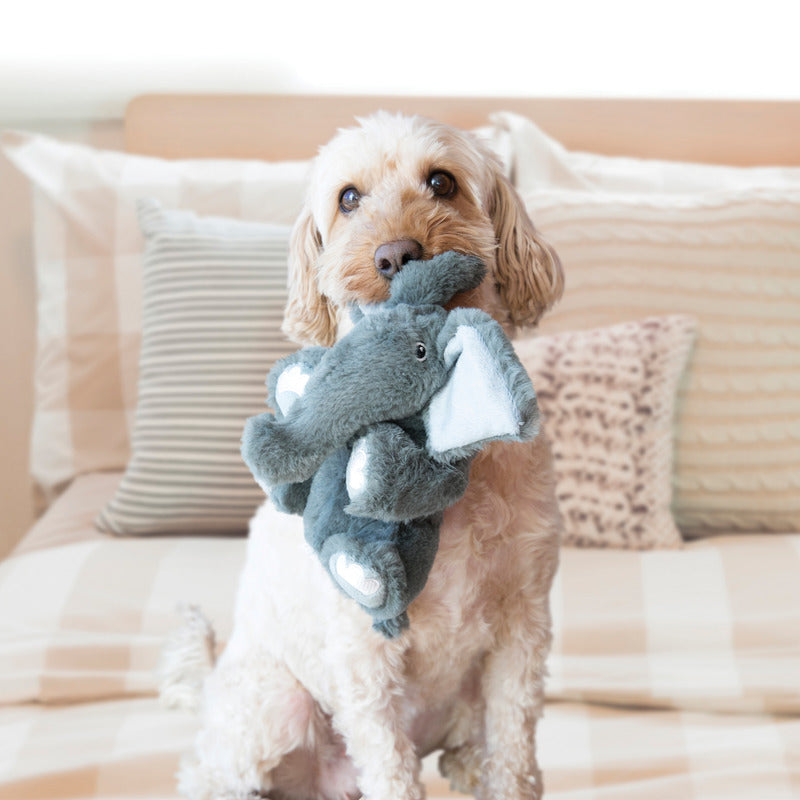 Kong Comfort Kiddos Elephant with a dog playing, dog holding kong kiddos dog toy, pet essentials warehouse