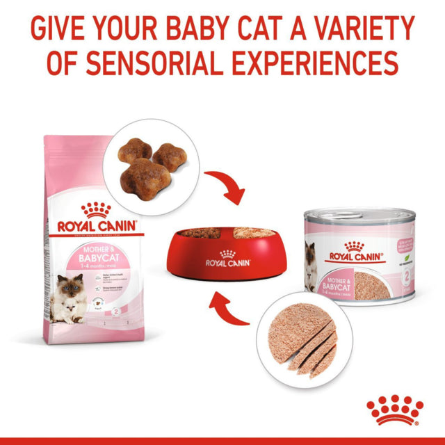 Royal Canin Mother and Baby Mousse, Baby Kitten food, Mother and Baby food, Royal Canin Wet food, Pet Essentials Warehouse