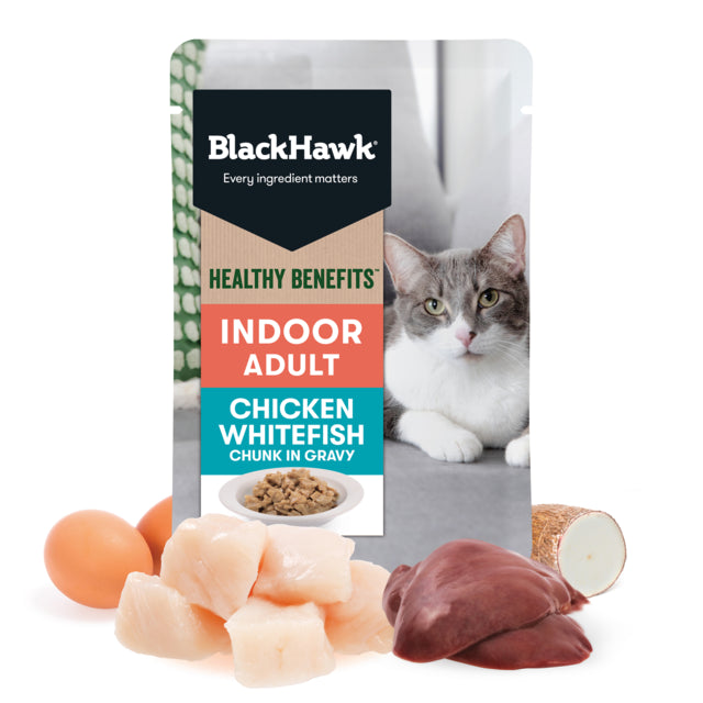  Cat wet food, Wet food for cats, Chicken and seafood wet food for cats, Pet Essential Warehouse, Indoor adult wet cat food