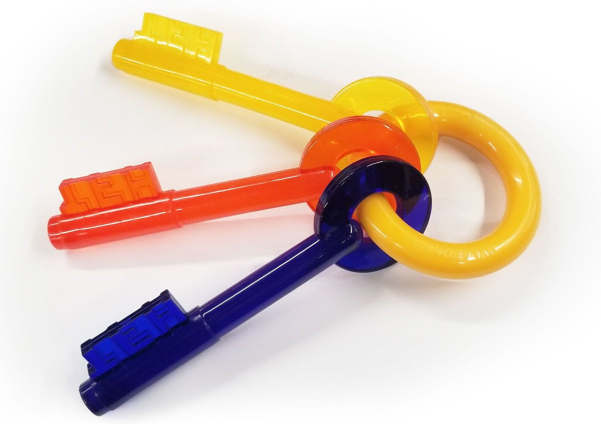 Nylabone Puppy Chew Teething Keys Dog Toy, nylabone puppy chew toys, pet essentials warehouse