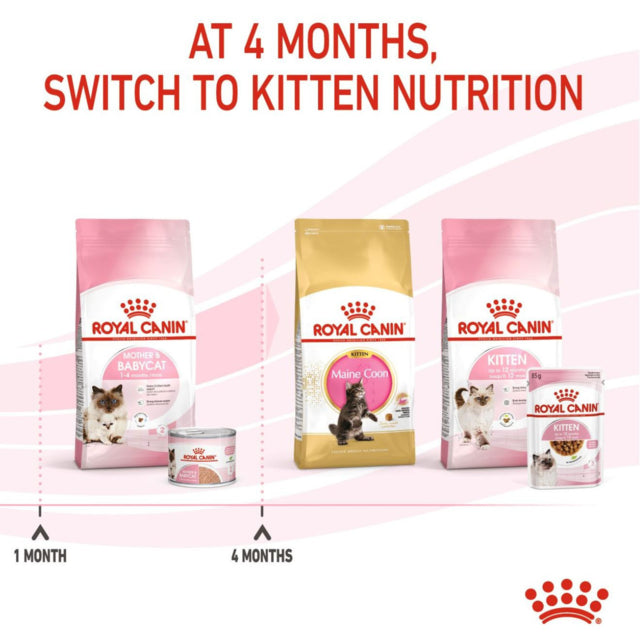 Royal Canin Mother and Baby Mousse, Baby Kitten food, Mother and Baby food, Royal Canin Wet food, Pet Essentials Warehouse