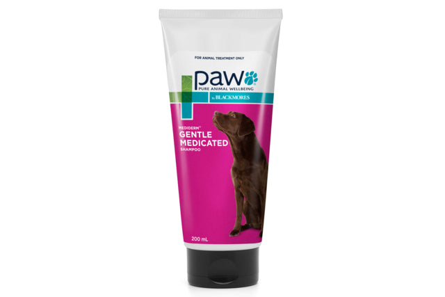 Blackmores paw MediDerm Shampoo, Blackmores for dogs, Pet Essentials Warehouse