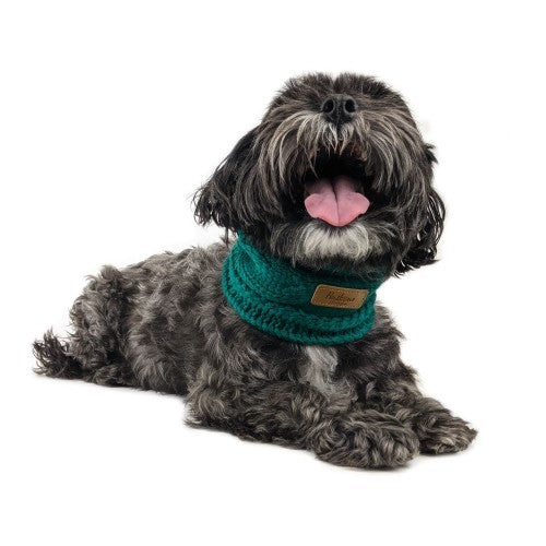 Huskimo Snood, Dog wearing snood, Huskimo, Pet Essentials Warehouse