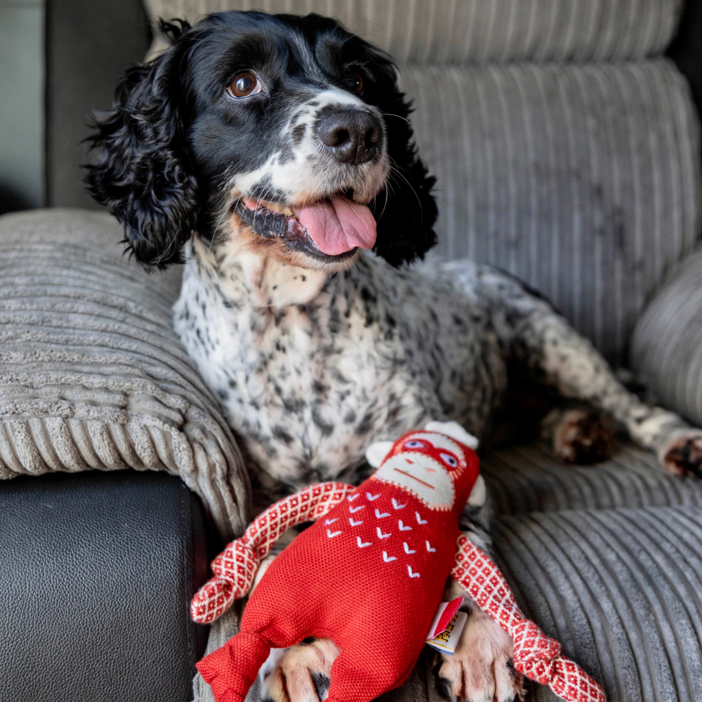 Resploot Sumatran Orangutan Dog Toy, Dog playing with Resploot dog toy, Pet Essentials Warehouse