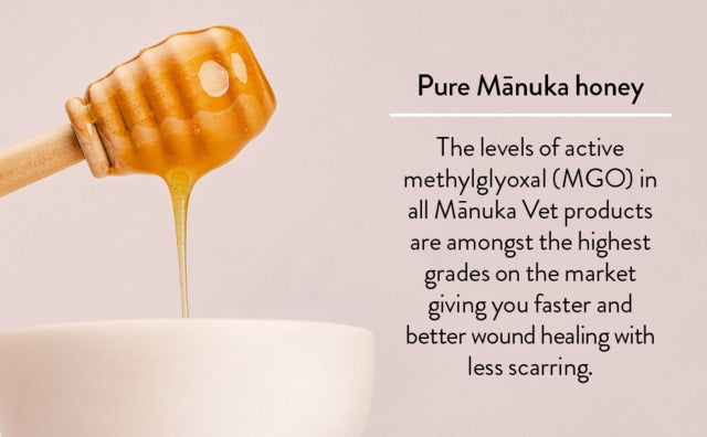 Manuka Vet Skin & Wound Gel, Skin and wound care, Gel for dogs, Manuka for dogs, Skin and wound care for cats and dogs, Pet Essentials Warehouse