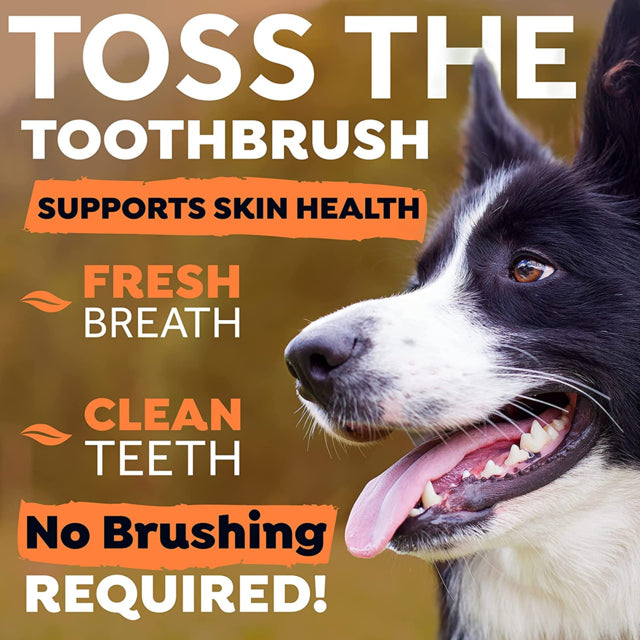 TropiClean Fresh Breath Dental Health Solution Skin Health Support for Dogs