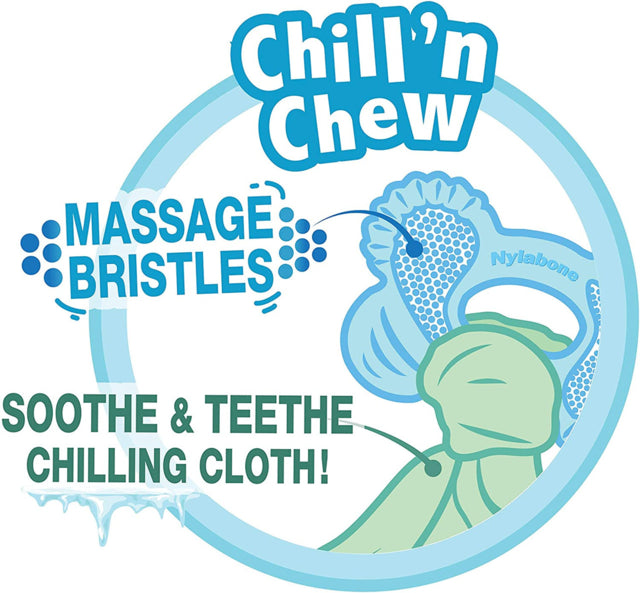 Nylabone Puppy Chew Chill & Chew Dog Toy, Puppy Chew Toy, Pet Essentials Warehouse, Chill chew dog toy, Puppy Toy, Poster