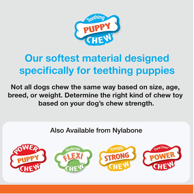 Nylabone Puppy Chew Chicken Bone Dog Toy, Small dog chew toy. Pet Essentials Napier, Puppy chew toy, Poster