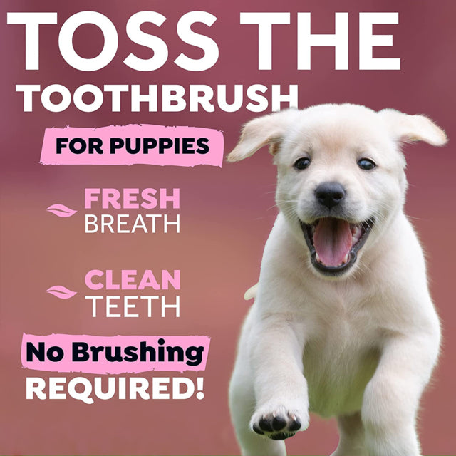 TropiClean Fresh Breath Dental Health Solution for Puppies