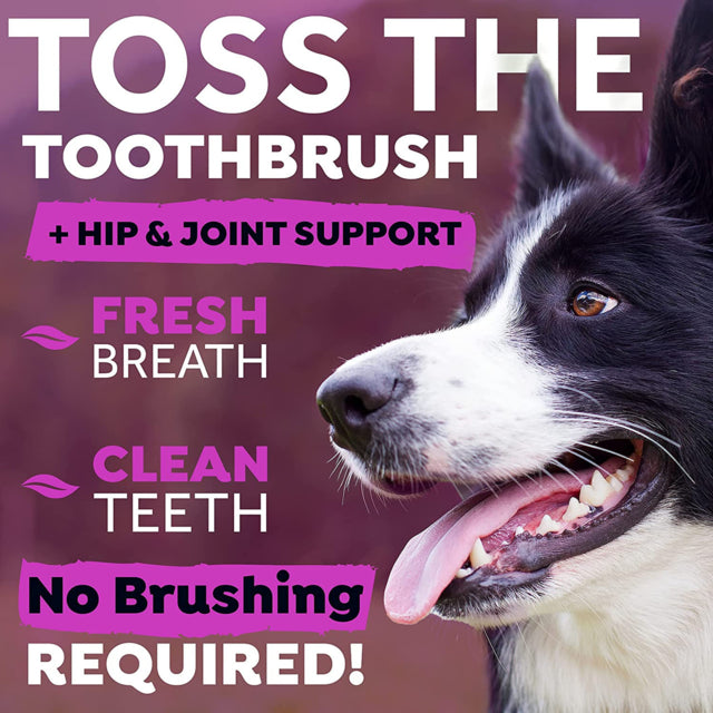 TropiClean Fresh Breath Dental Health Solution Hip & Joint Support for Dogs, Hip and Joint for dogs, Dental Health for dogs, No Brushing Teeth Cleaner, Pet Essentials Warehouse