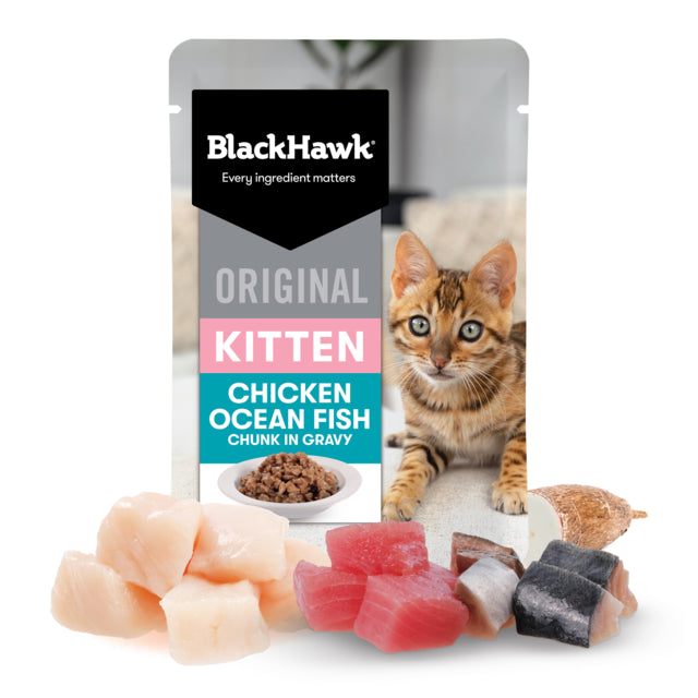 Black Hawk Original Kitten Chicken & Fish in Gravy Wet Cat Food, Wet Cat food for cats, Kitten wet food wet food for kittens, Wet food kittens, Pet Essentials Warehouse