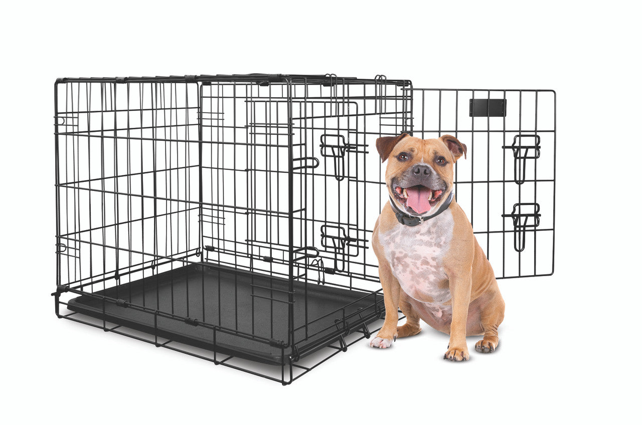 Double door dog crate medium hotsell