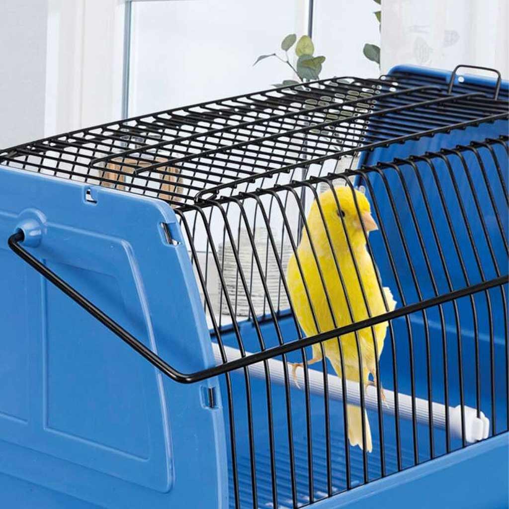 Transport Box for birds/small animals, Small pet and bird travel cage, Pet Essentials Warehouse