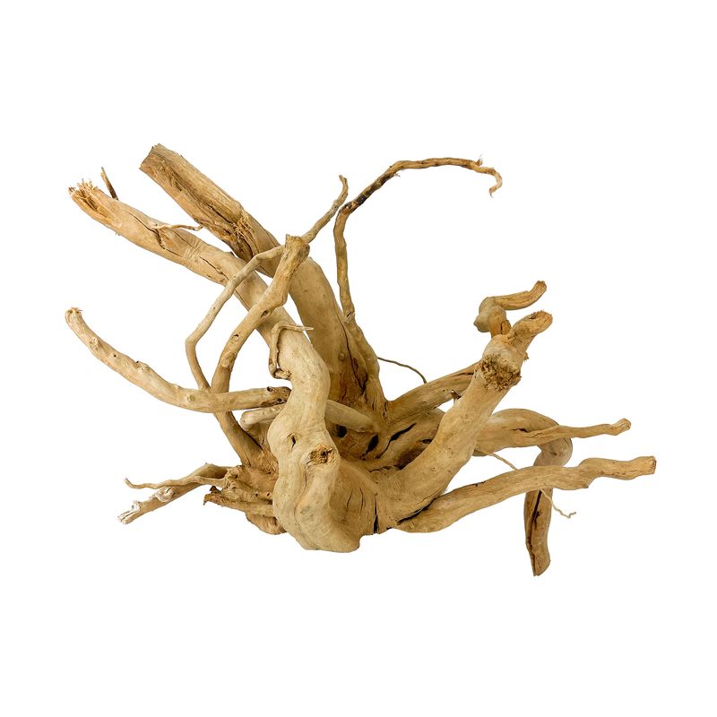 Aqua Care Aquarium Spiderwood Wood, spider wood tree root driftwood, pet essentials warehouse