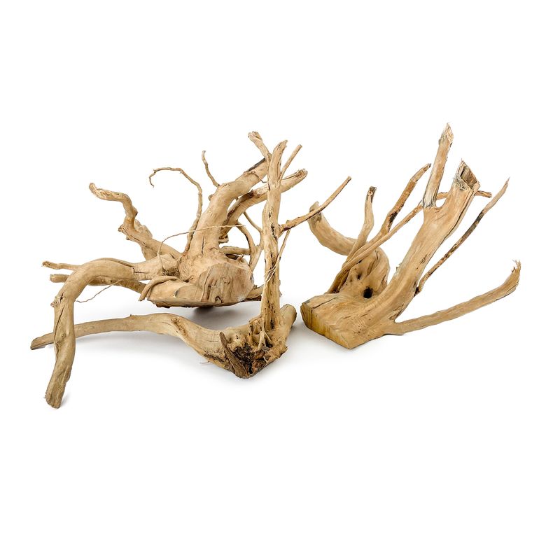 Aqua Care Aquarium Spiderwood Wood, tree root driftwood, aquarium aquascaping driftwood, pet essentials warehouse