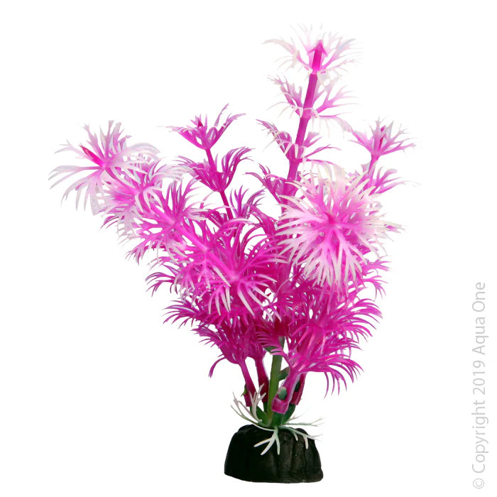 Aqua One Bettascape Betta Ambulia Pink, Plastic Plants, Plastic Plants for fish tanks, Pet Essentials Warehouse