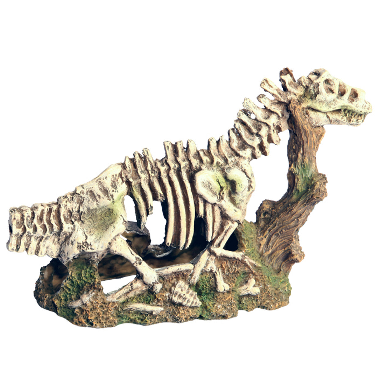 Aqua One Dinosaur Skeleton Ornament, Ornaments for fish tanks, Pet City, Pet Essentials Warehouse