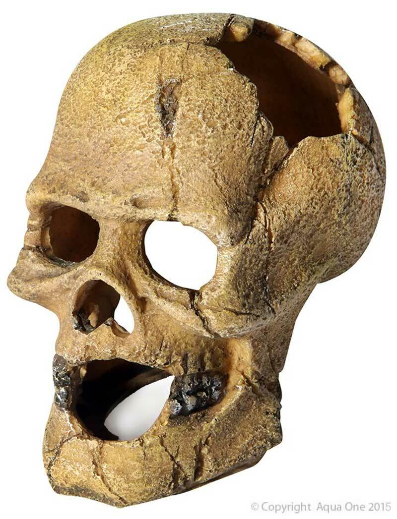 Aqua One Ornament Human Skull With Hole, Ornaments for fish tanks, Pet Essentials Warehouse