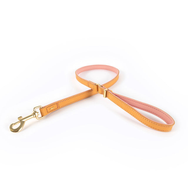 EzyDog Oxford Leather Dog Leash Blush classic 100cm, pet essentials warehouse