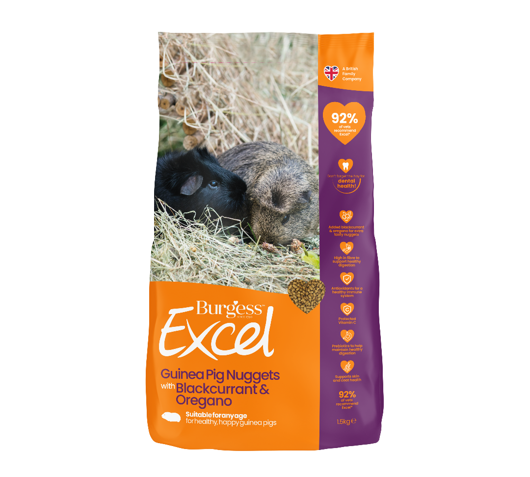 Burgess Excel Adult Guinea Pig Nuggets with Blackcurrant & Oregano 1.5kg, pet essentials warehouse