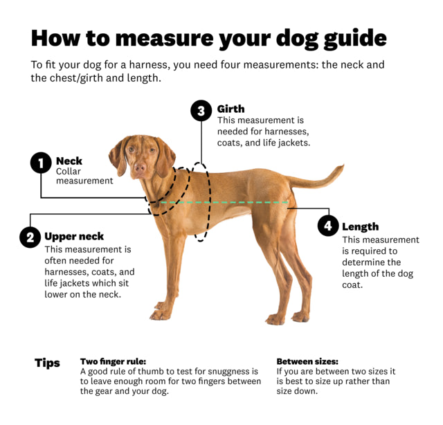 EzyDog Quick Fit Harness, How to measure, Pet City, Pet Essentials Warehouse