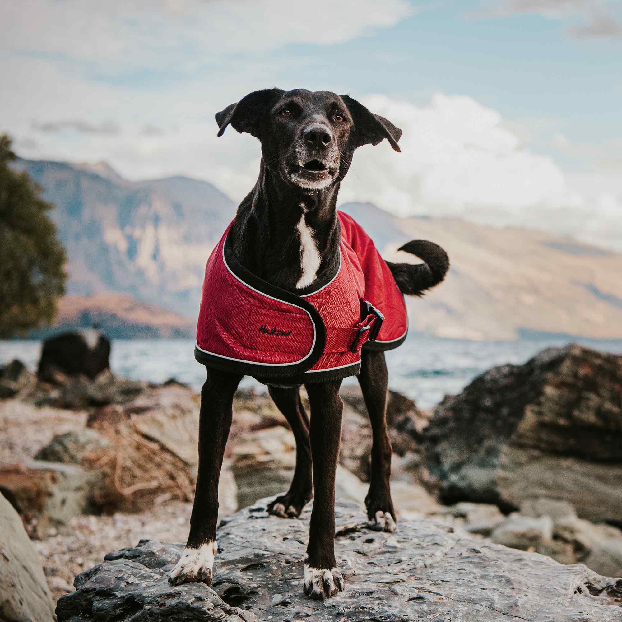 Huskimo Coat Summit Pro Uluru