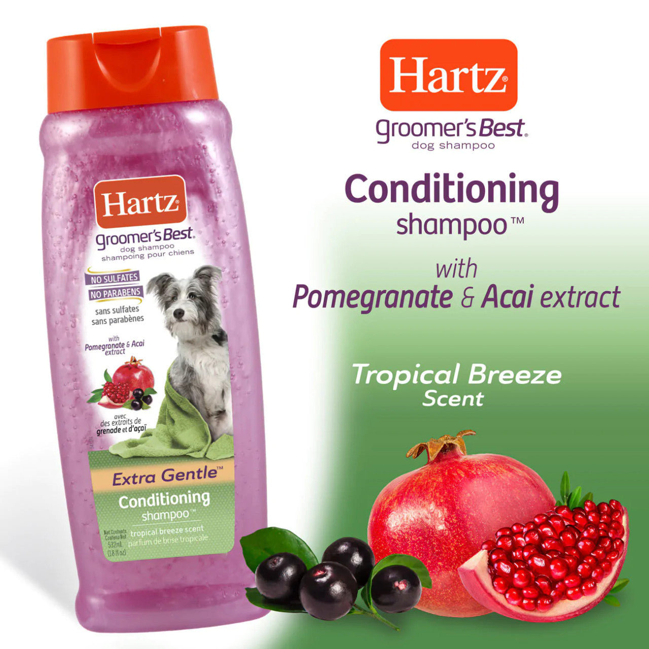 Hartz Groomers Best Conditioning Dog Shampoo pomegranate, pet essentials warehouse, pet city