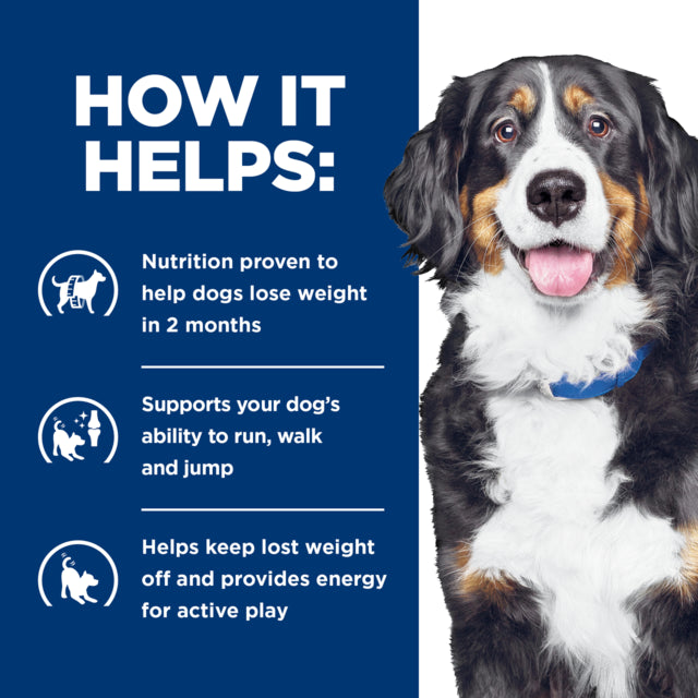 Hill's Prescription Diet j/d Metabolic + Mobility Dry Dog Food, How it helps hills dog food, Helps dogs with weight loss, Weight loss dog food, Pet Essentials Warehouse