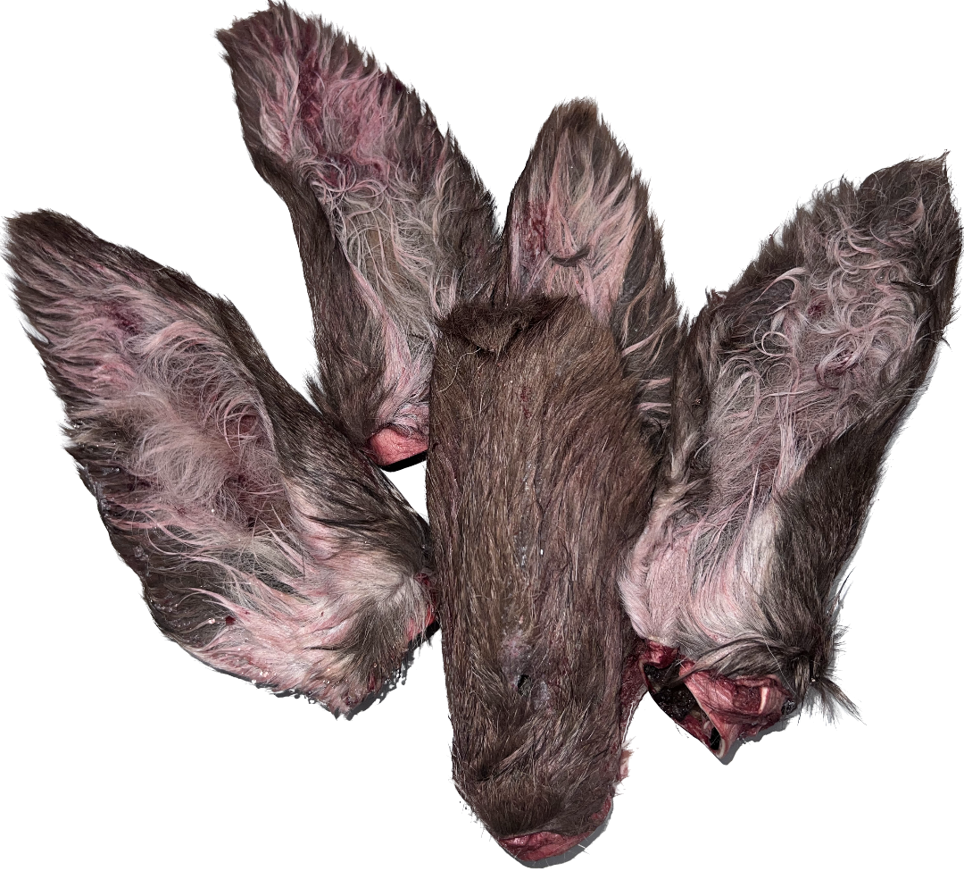 Venison Ears with Fur Raw Frozen, Fresh Frozen Venison for dogs, Pet Essentials Warehouse