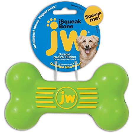 JW iSqueak Bone Dog Toy Green, Pet Essentials Warehouse