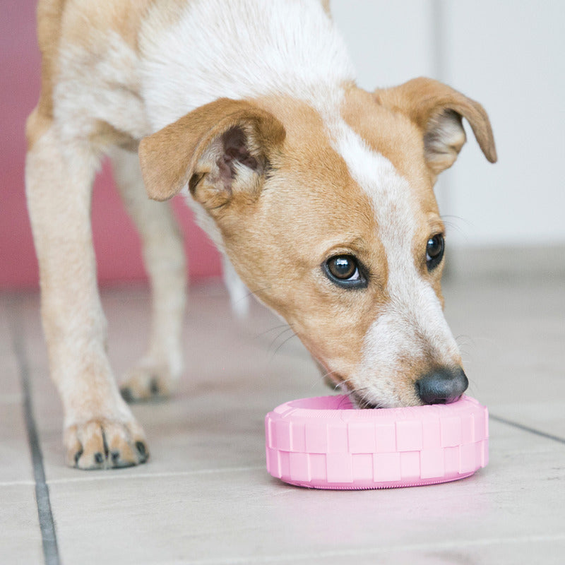 foxy puppy playing with Kong Puppy Tire Dog Toy, pet essentials warehouse