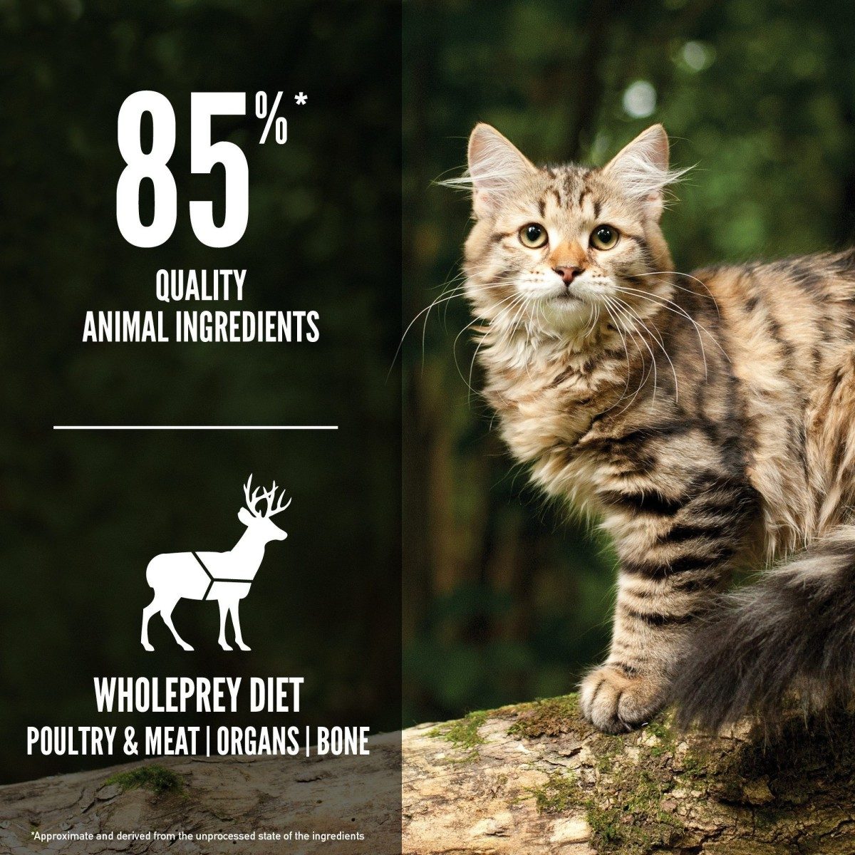 Orijen Tundra Dry Cat Food 85% protein, pet essentials warehouse