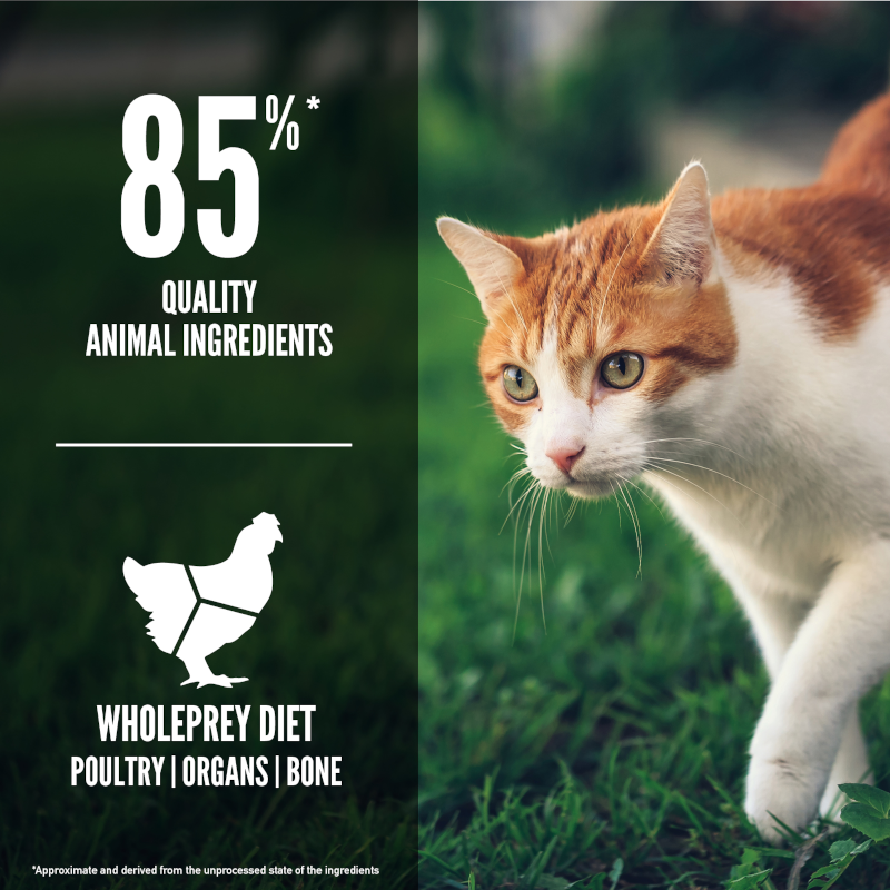 Orijen Fit and Trim Cat Food, Poster, cat food, Pet Essentials Warehouse