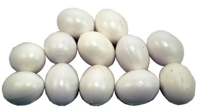 Nest Egg Pigeon 30mm, Pigeon, Pigeon Nest Eggs, Pet Essentials Warehouse