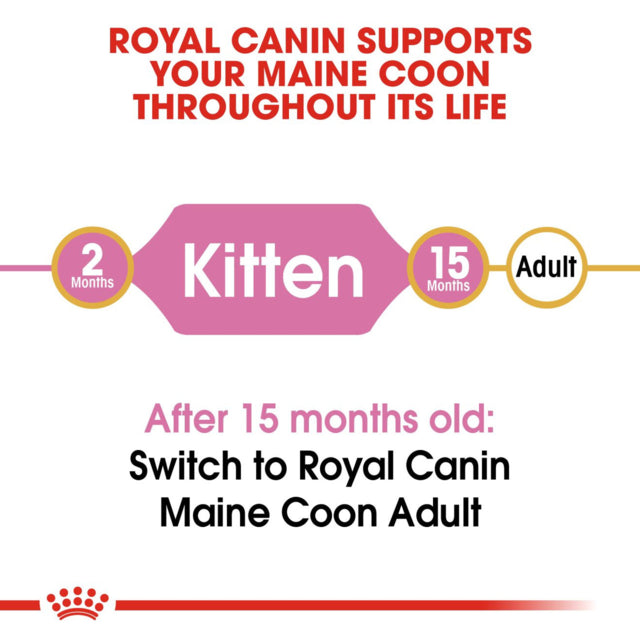 Royal Canin Maine Coon Kitten Dry Food, Maine coon Kitten food, Kitten food for Maine coon, Kitten food, pet Essentials Warehouse