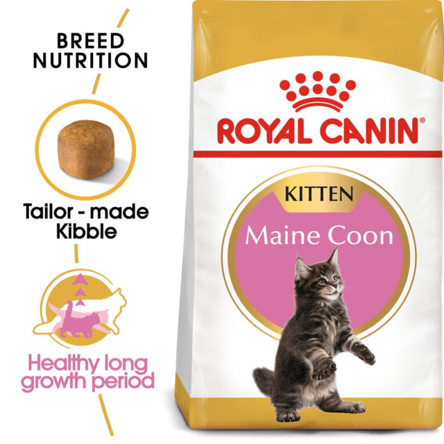 Royal Canin Maine Coon Kitten Dry Food, Maine coon Kitten food, Kitten food for Maine coon, Kitten food, pet Essentials Warehouse