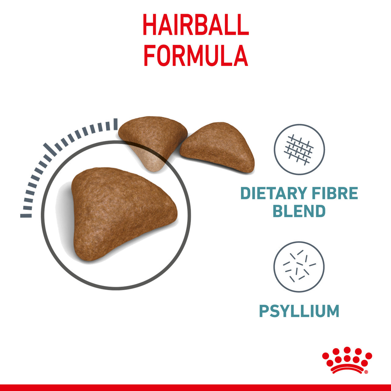 Royal Canin Hairball Care Dry Cat Food biscuit size