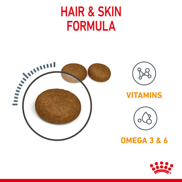 Royal Canin Hair & Skin Care Dry Cat Food, Hair and Skinf for cats, Helps with hair and skin for cats, Royal Canin Cat food, Pet Essentials Warehouse