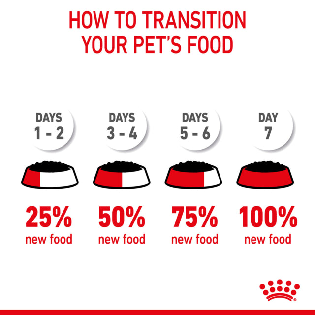 Royal Canin Appetite Control Gravy Adult Wet Cat Food, Royal Canin Cat food Wet, Wet Cat food, Appetite control for cats, Royal Canin, Pet Essentials Warehouse