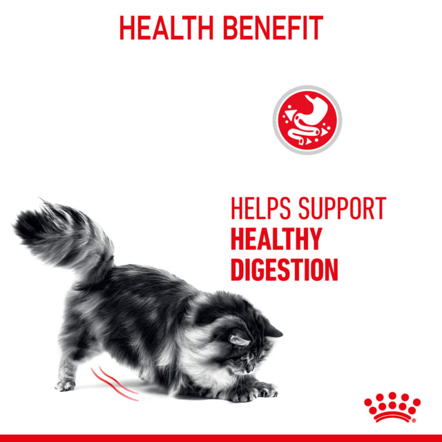 Royal Canin Digestive Care Loaf Adult Wet Cat Food, Digestive Care for cats, Loaf cat food, Royal Canin, Pet Essentials Warehouse