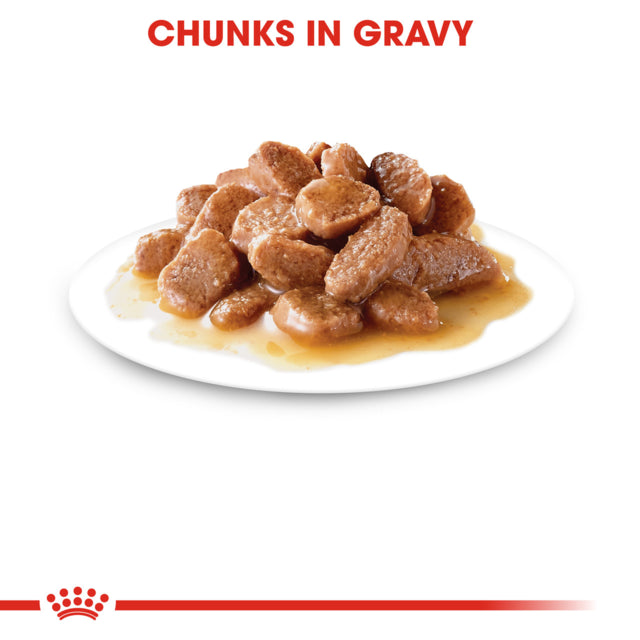 Royal Canin Hairball Care In Gravy, Chunks in gravy, Pet Essentials Warehouse