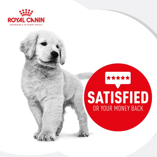 Royal Canin Medium Puppy Wet Food, Satisfied for pets, Pet Essentials Warehouse
 